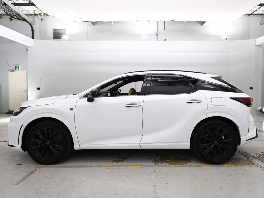 LEXUS RX500H