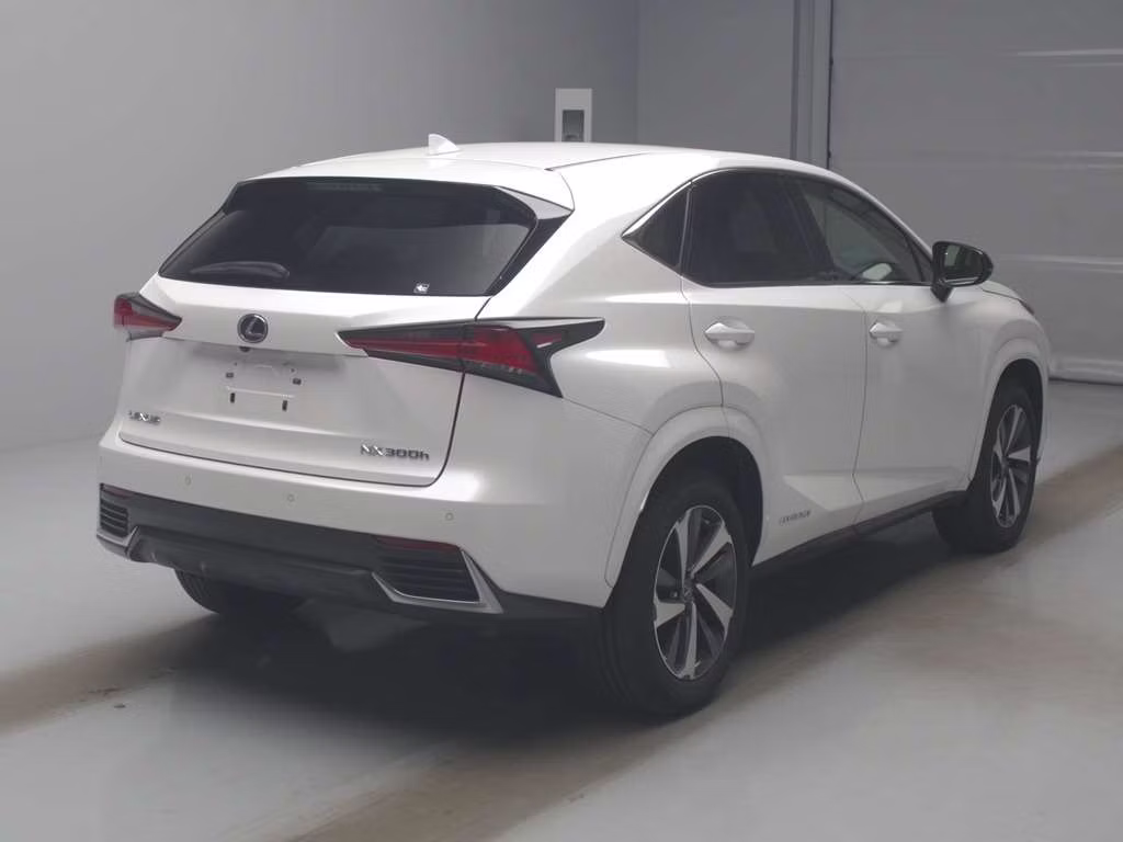 LEXUS NX300H