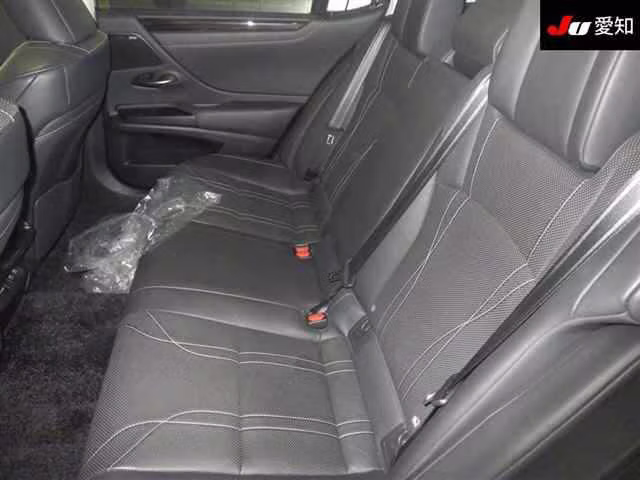 LEXUS ES300H