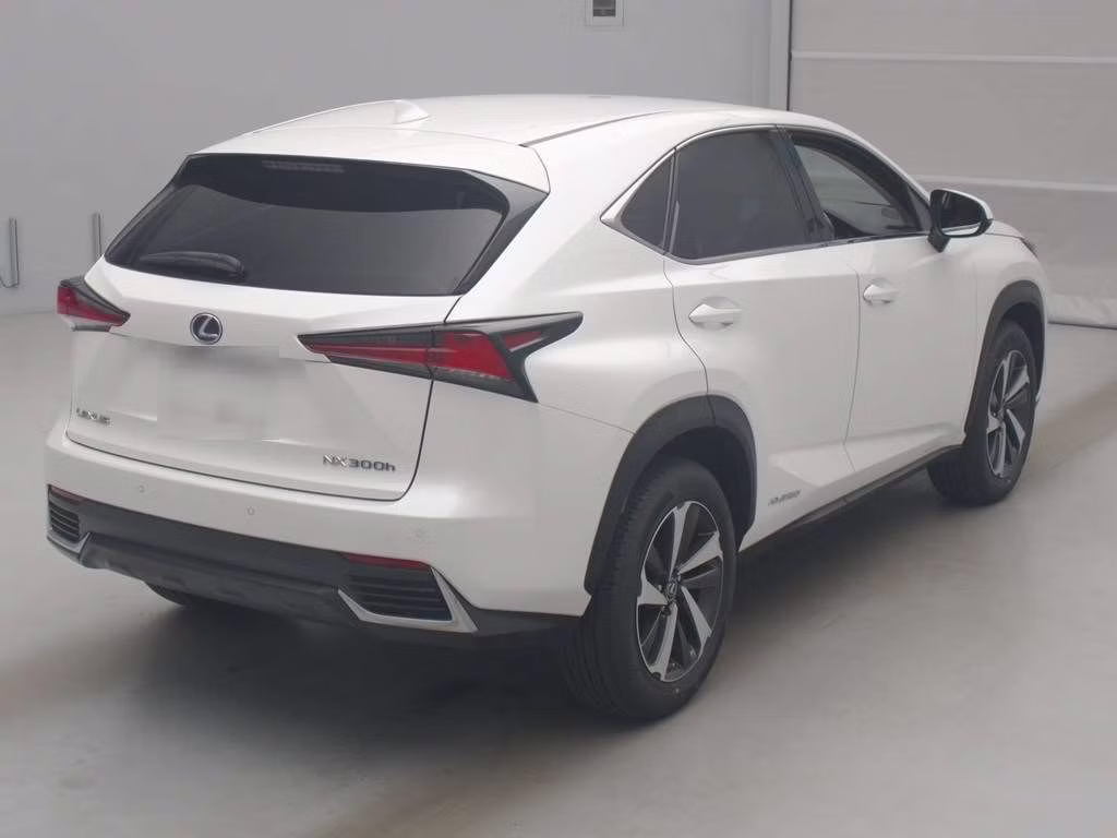 LEXUS NX300H