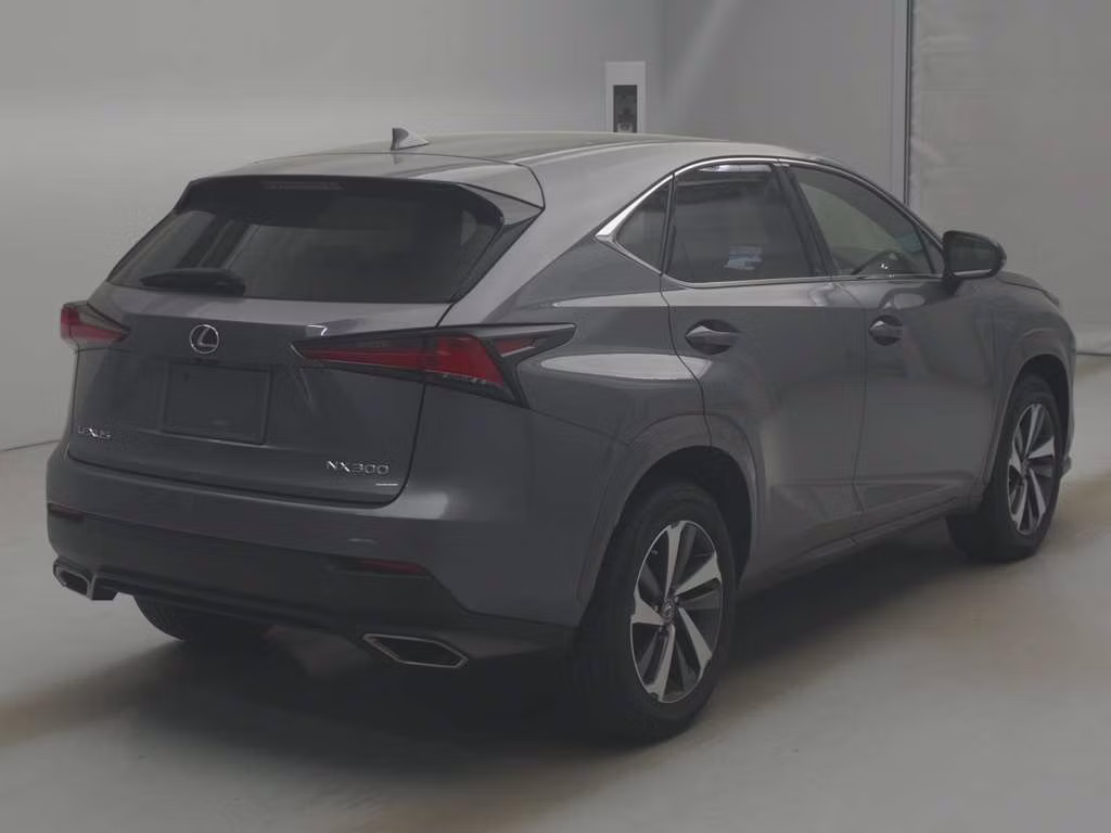 LEXUS NX300