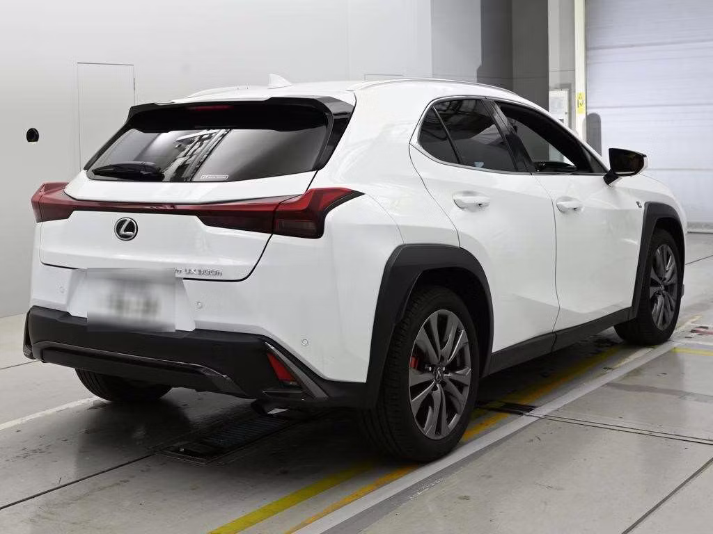 LEXUS UX300H