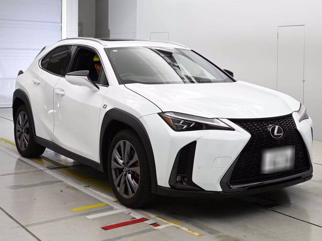 LEXUS UX300H