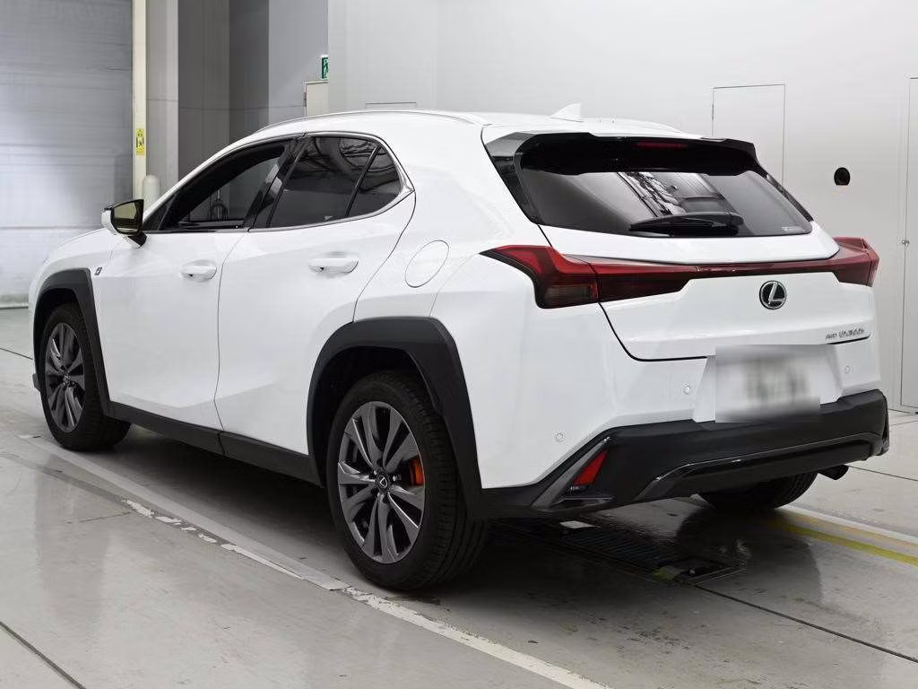 LEXUS UX300H