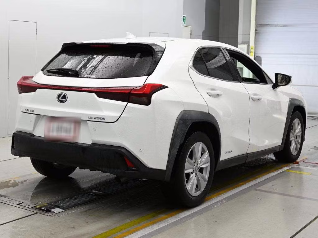 LEXUS UX250H