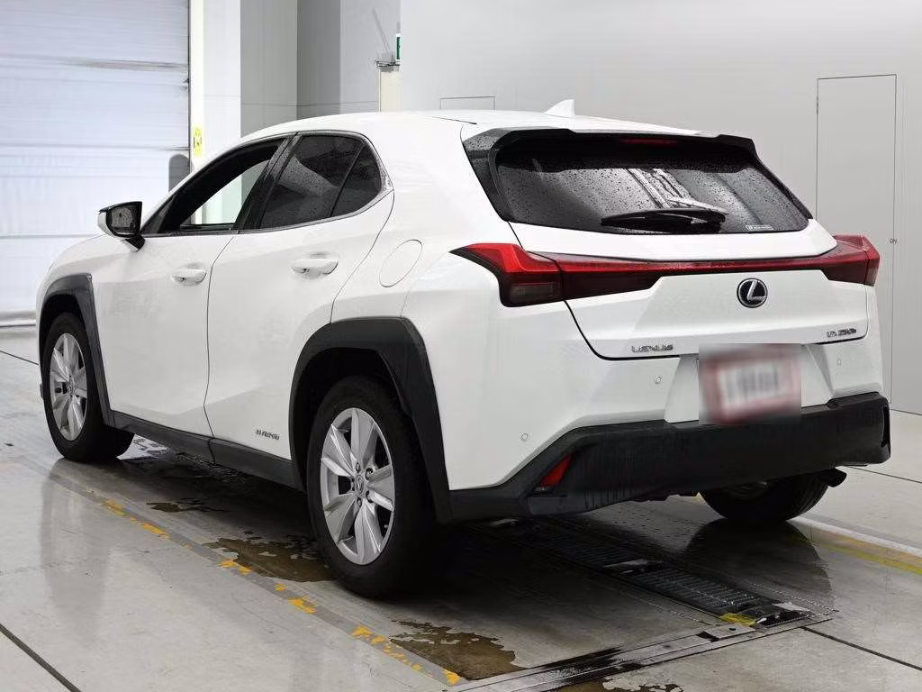 LEXUS UX250H