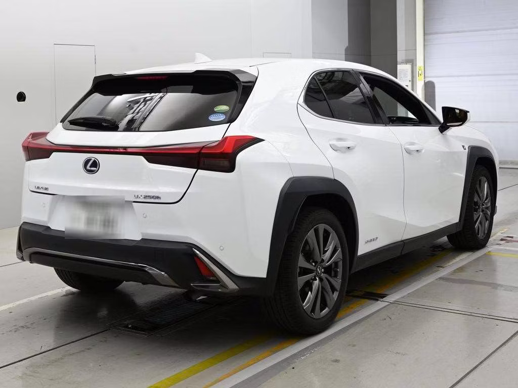 LEXUS UX250H