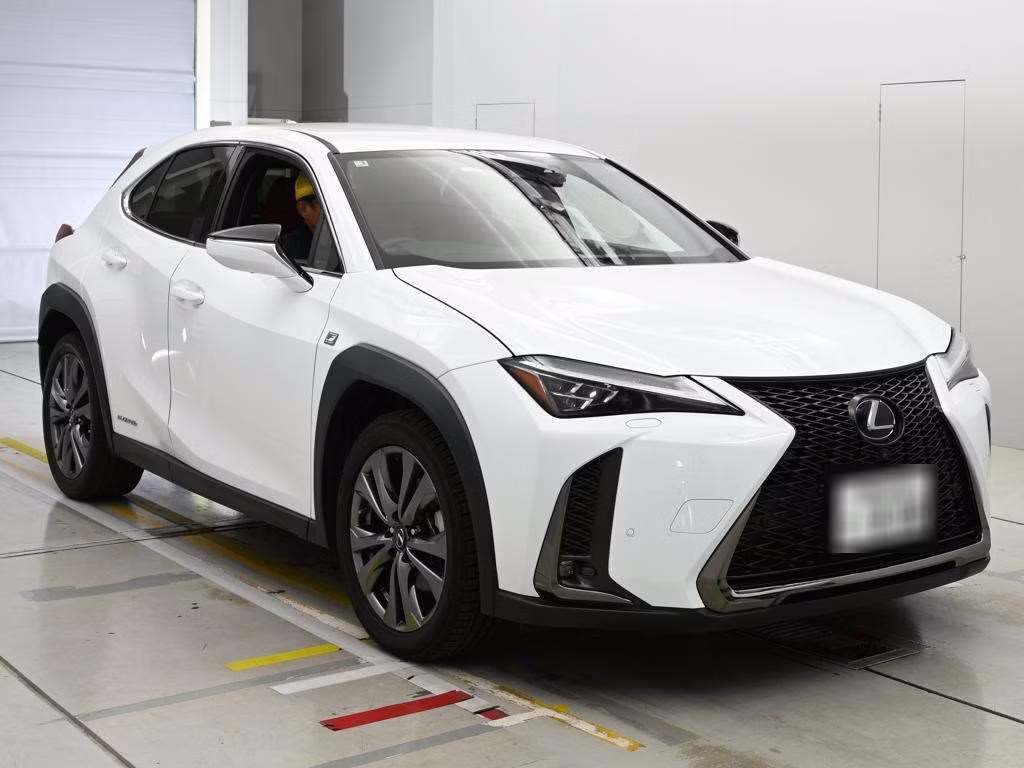 LEXUS UX250H