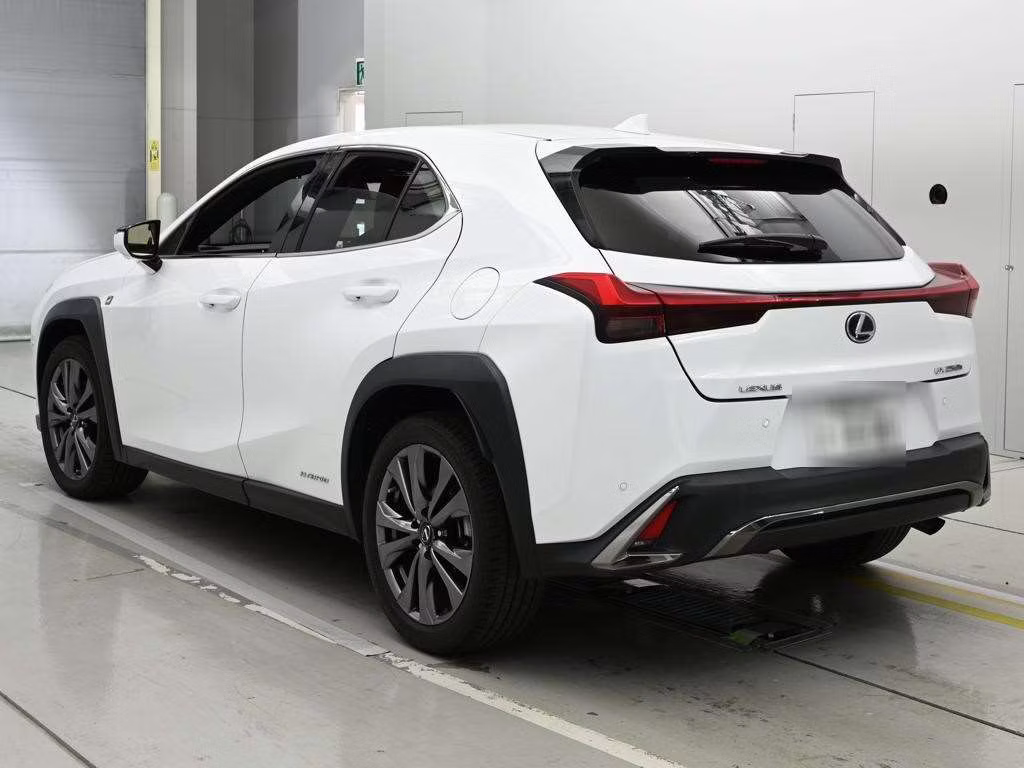 LEXUS UX250H