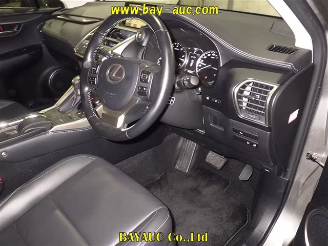 LEXUS NX200T