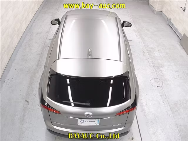 LEXUS NX200T