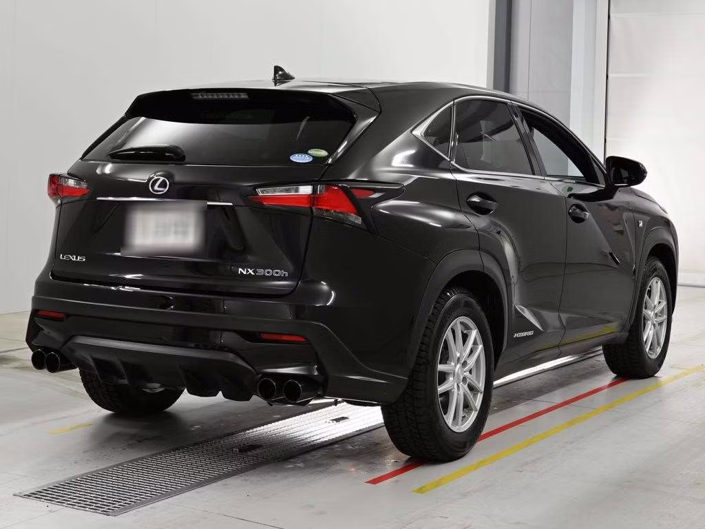 LEXUS NX300