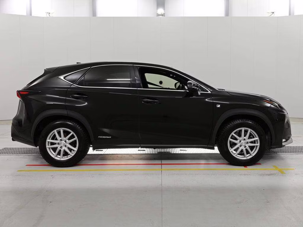 LEXUS NX300