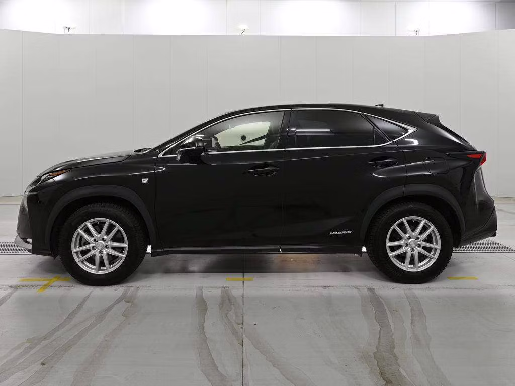 LEXUS NX300