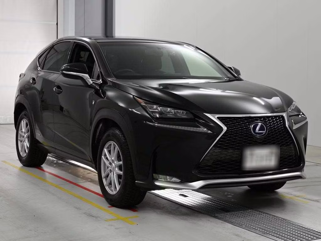 LEXUS NX300