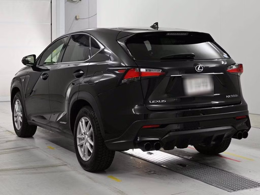 LEXUS NX300