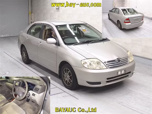 TOYOTA COROLLA