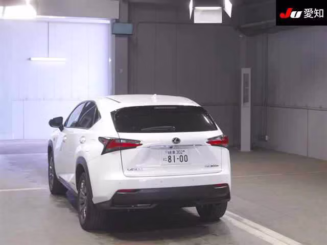 LEXUS NX300H