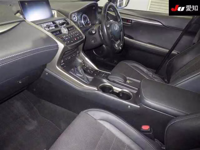 LEXUS NX300H