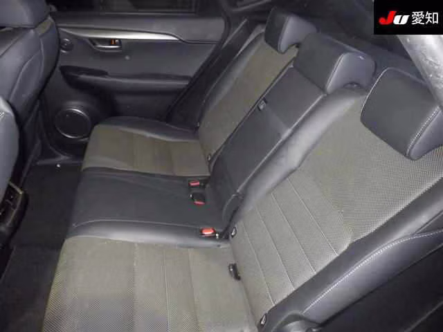 LEXUS NX300H