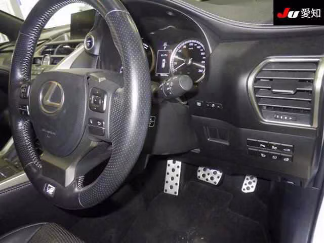 LEXUS NX300H