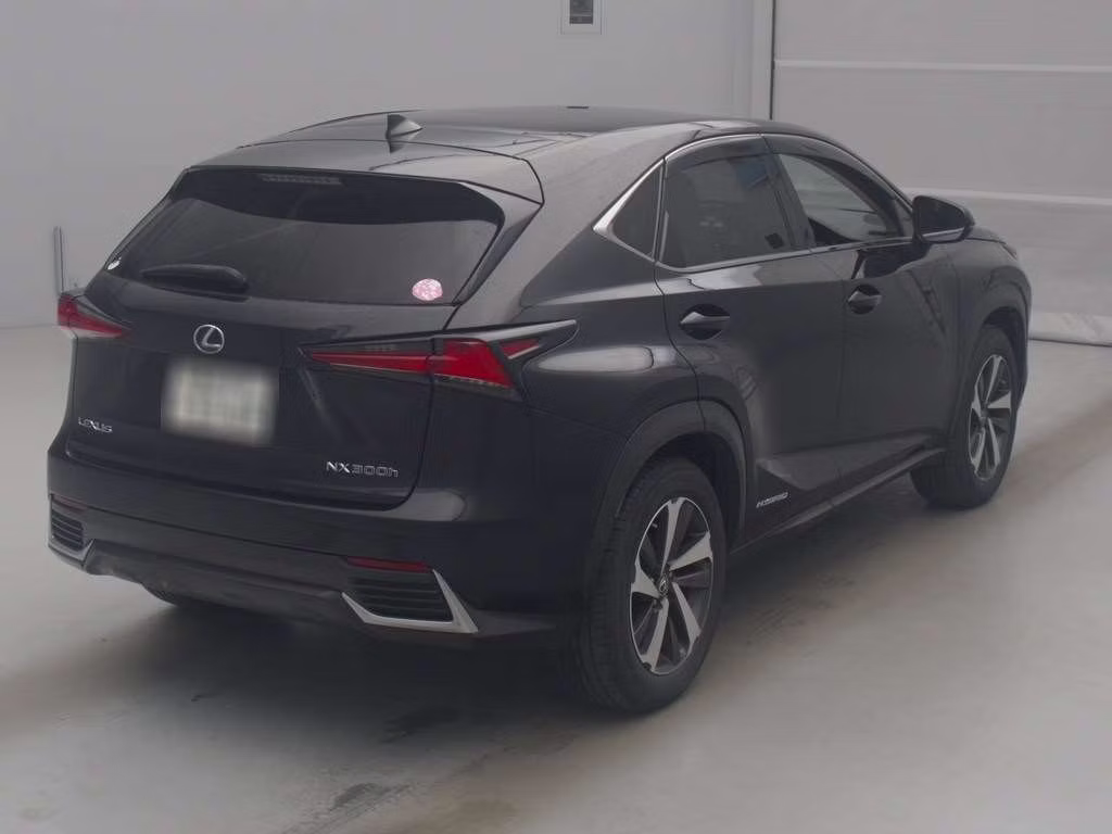 LEXUS NX300