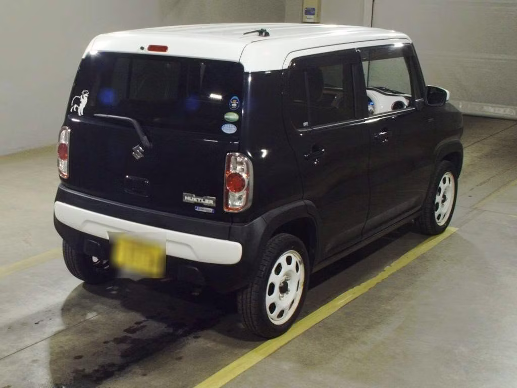 SUZUKI HUSTLER