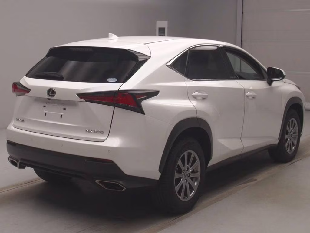 LEXUS NX300