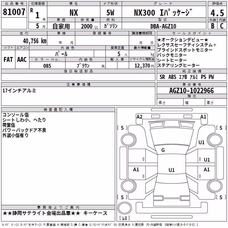 LEXUS NX300