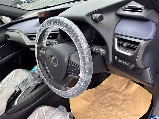 LEXUS UX250H