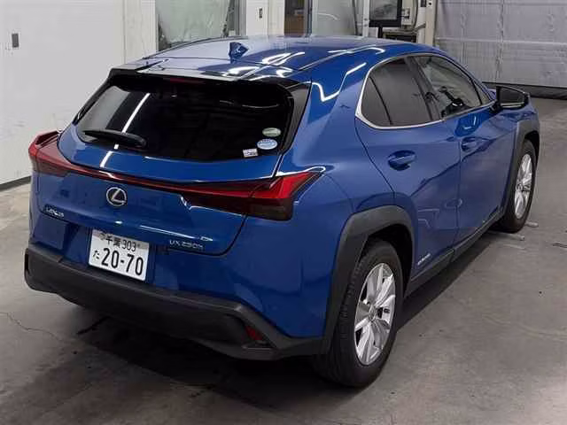 LEXUS UX250H