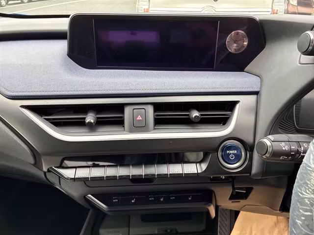 LEXUS UX250H