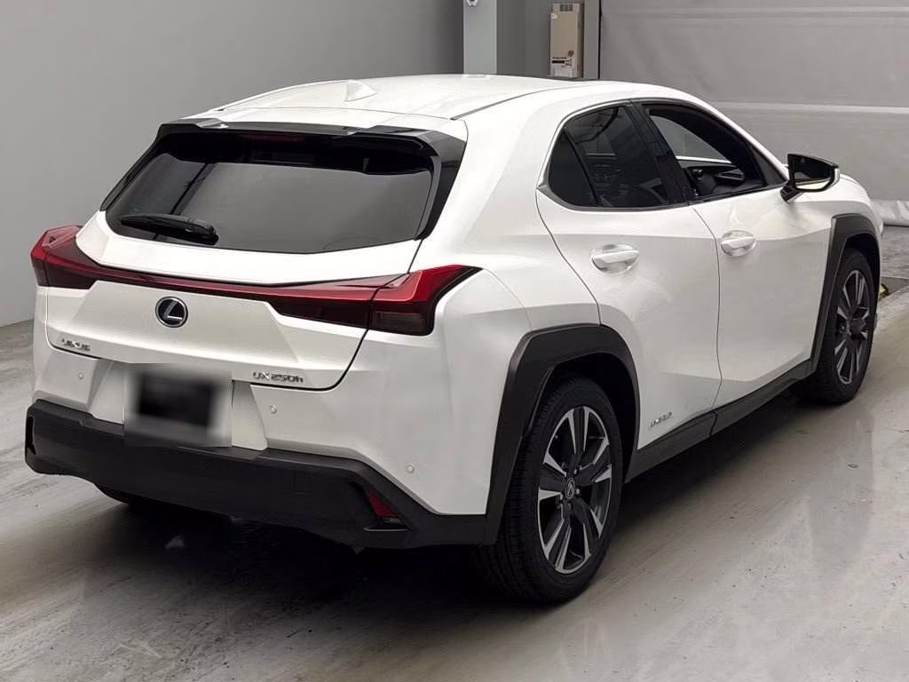 LEXUS UX250H