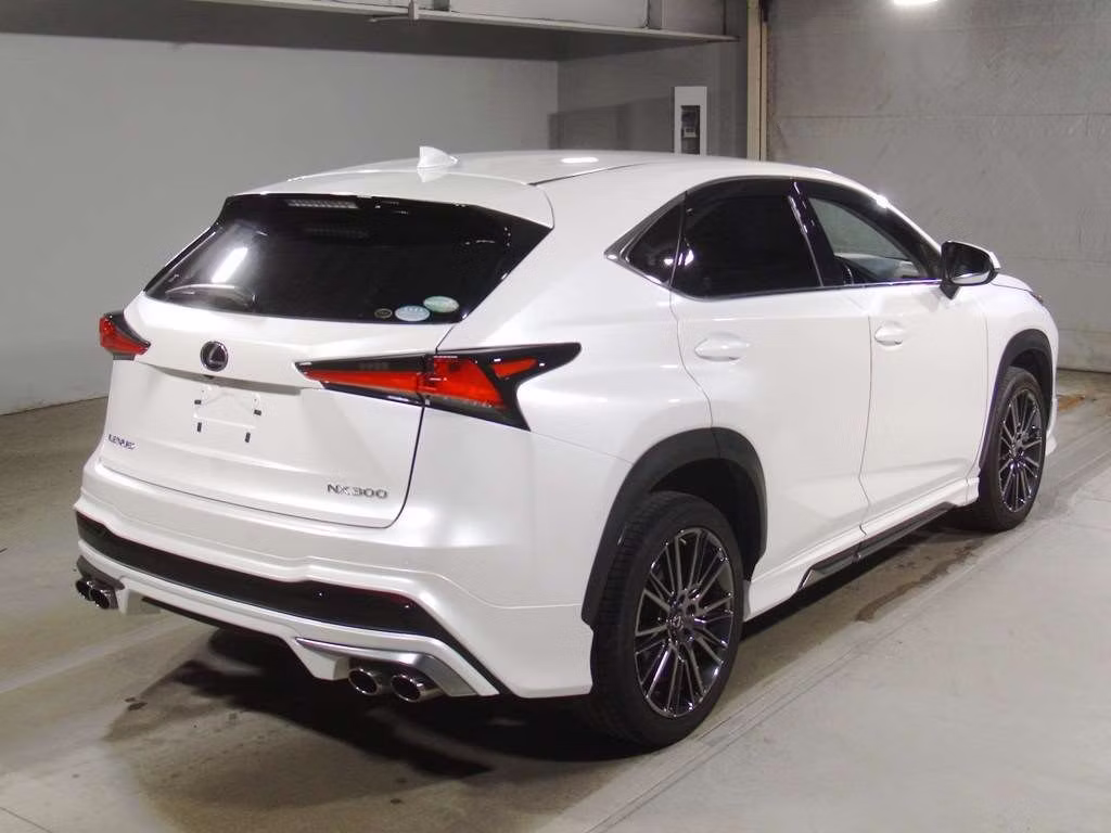 LEXUS NX300