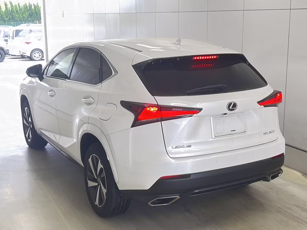 LEXUS NX300
