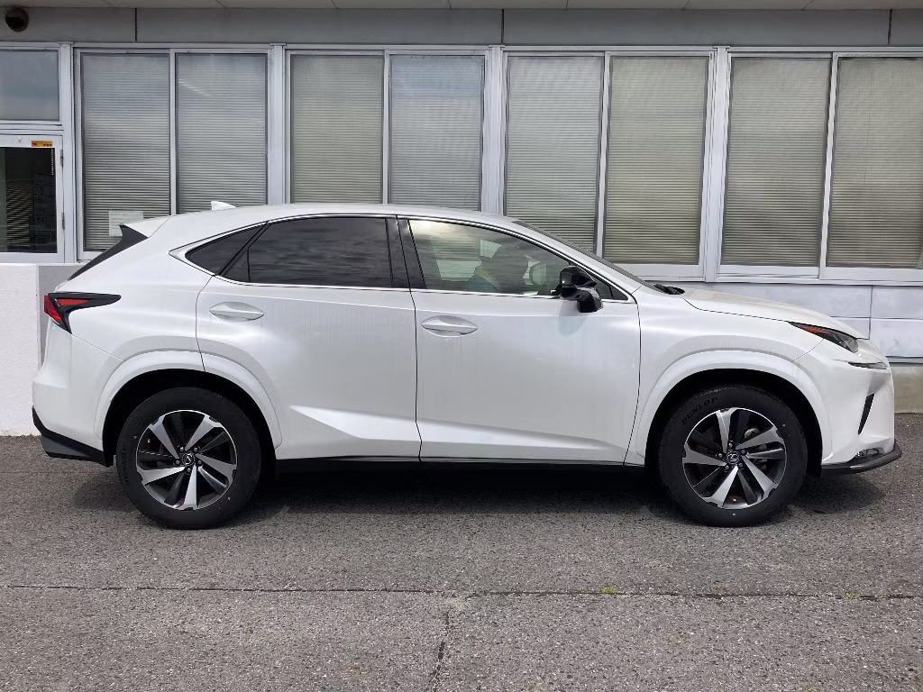 LEXUS NX300