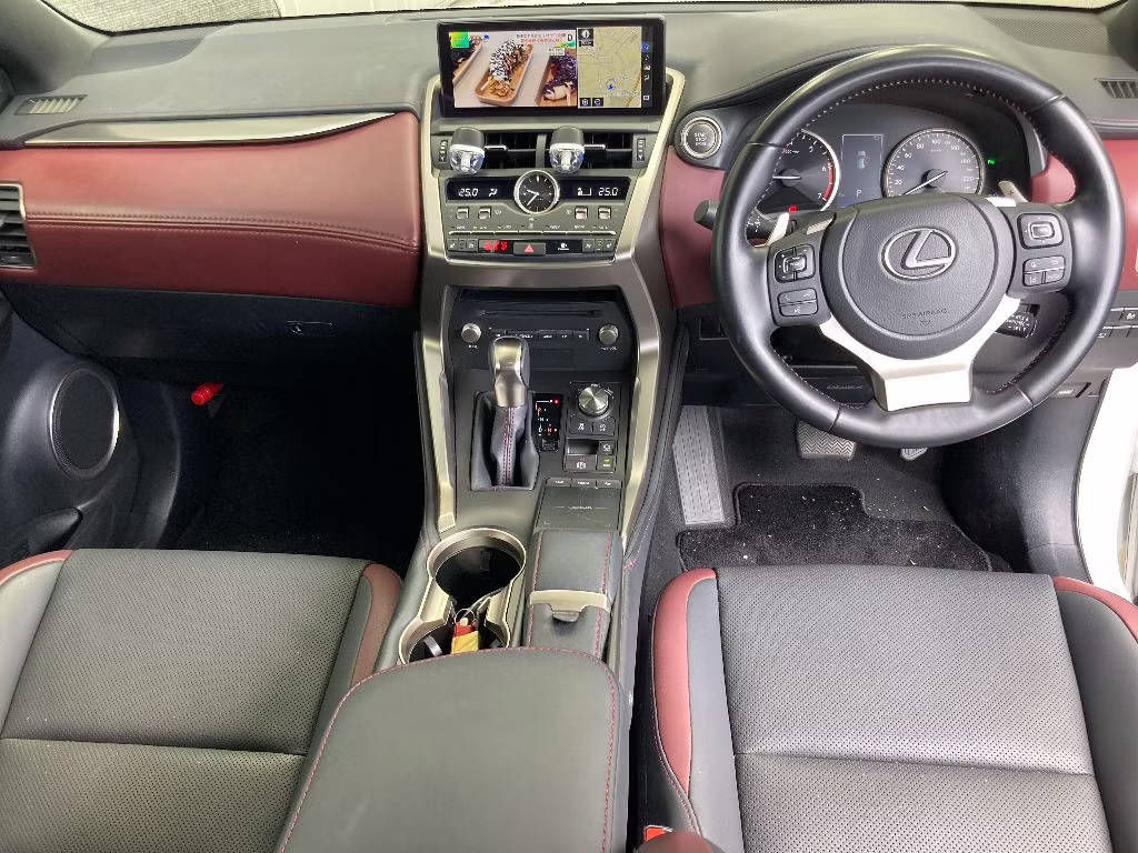 LEXUS NX300