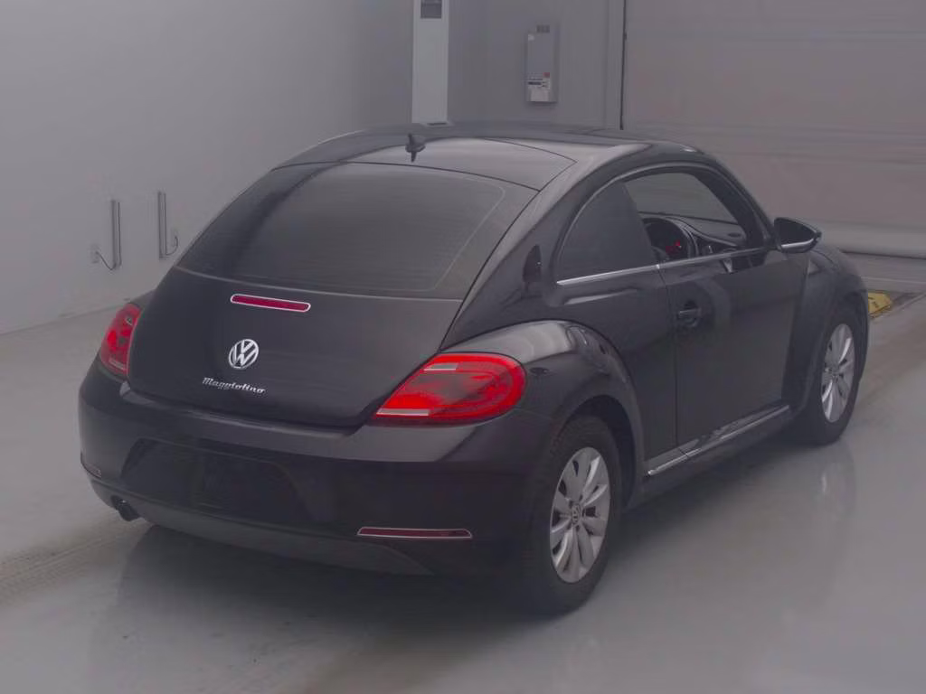 VOLKSWAGEN BEETLE