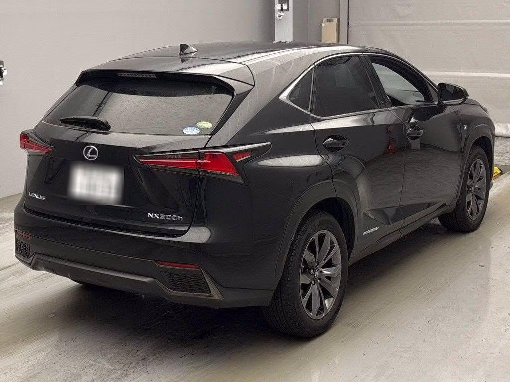 LEXUS NX300