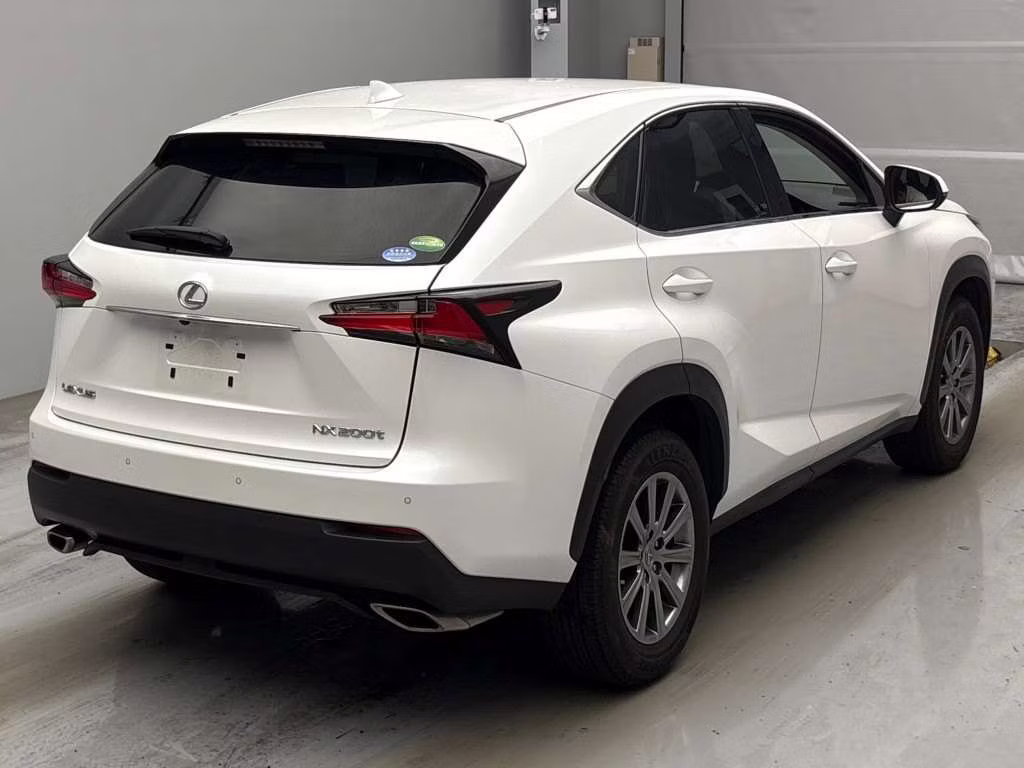LEXUS NX300