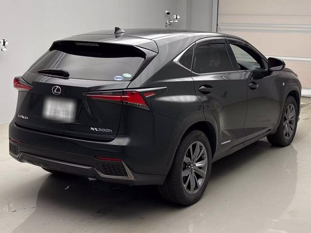 LEXUS NX300