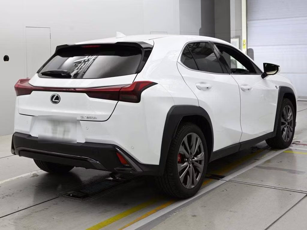 LEXUS UX250H