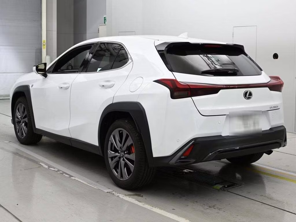 LEXUS UX250H