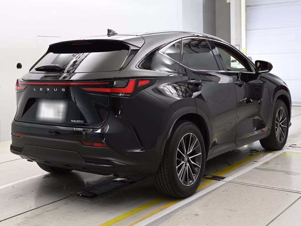 LEXUS NX250