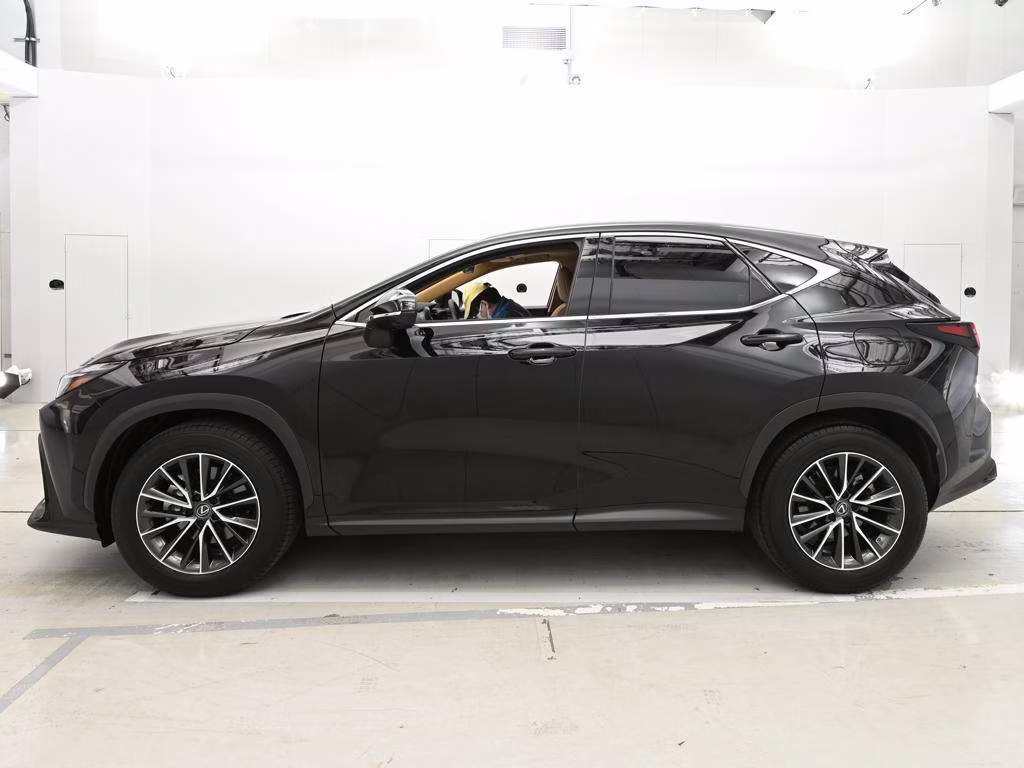 LEXUS NX250