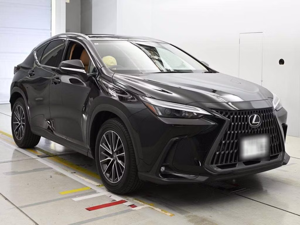 LEXUS NX250