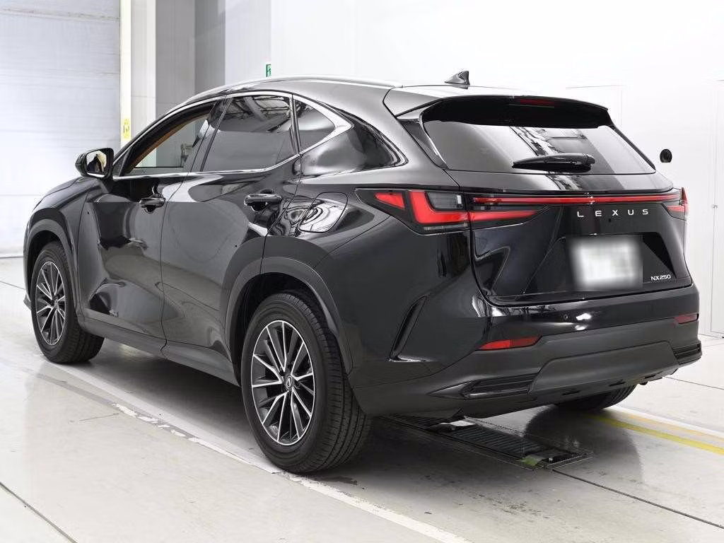 LEXUS NX250