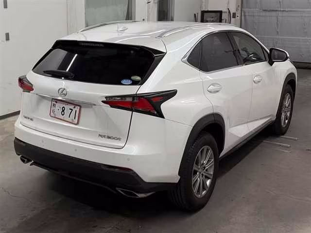 LEXUS NX200T