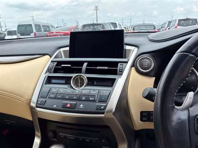 LEXUS NX200T