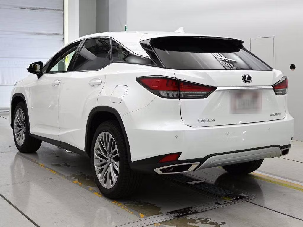 LEXUS RX300